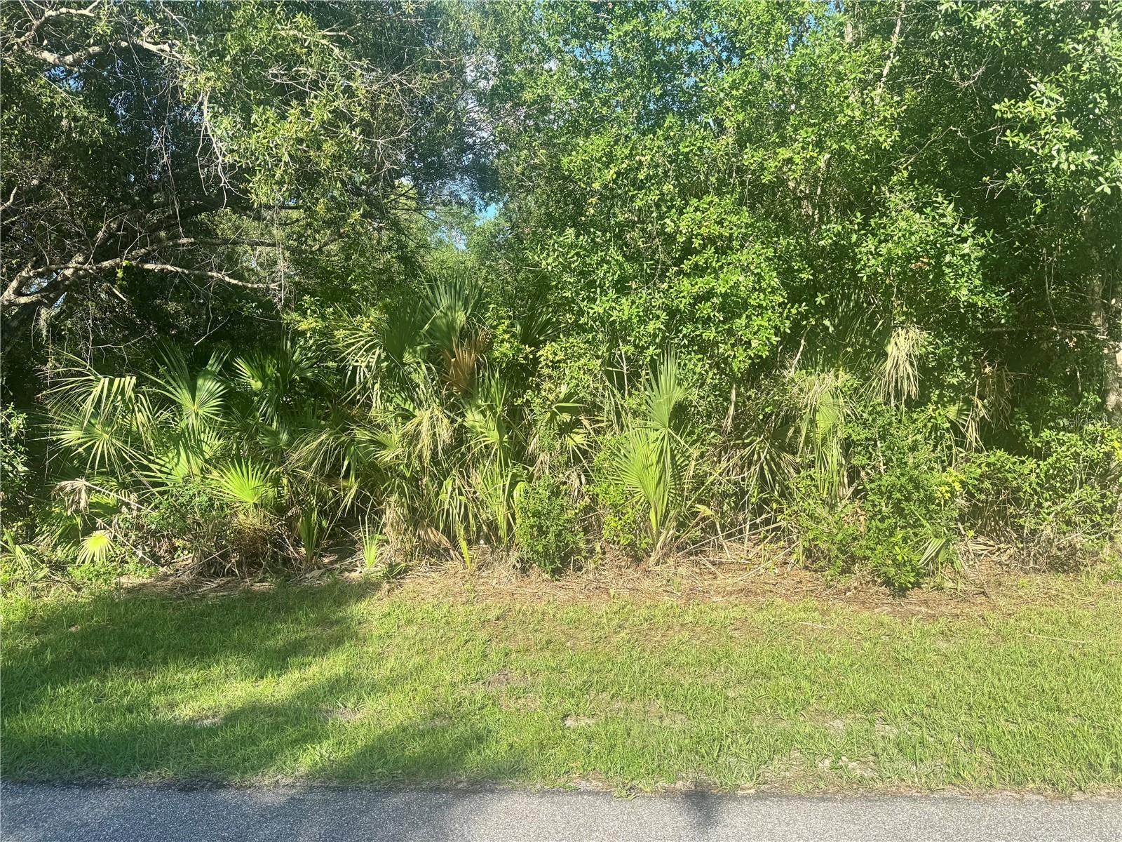 3462 Mentone St, Punta Gorda, FL 33980