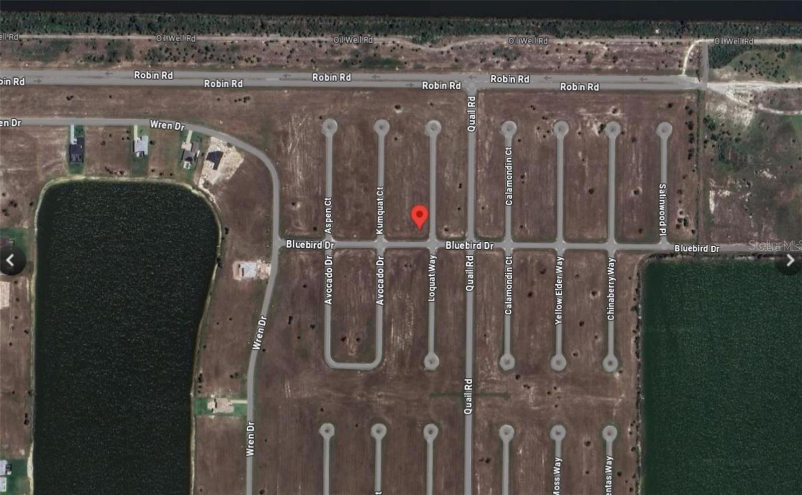 19 Loquat Way, Placida, FL 33946
