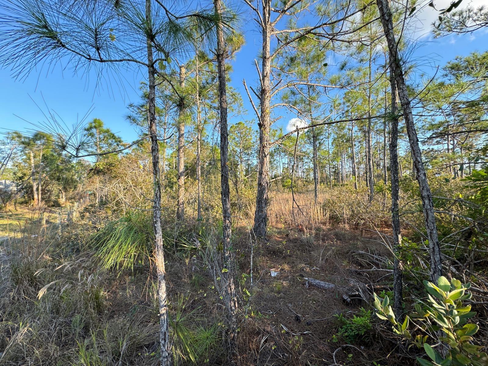 8108 Austrian Blvd, Punta Gorda, FL 33982