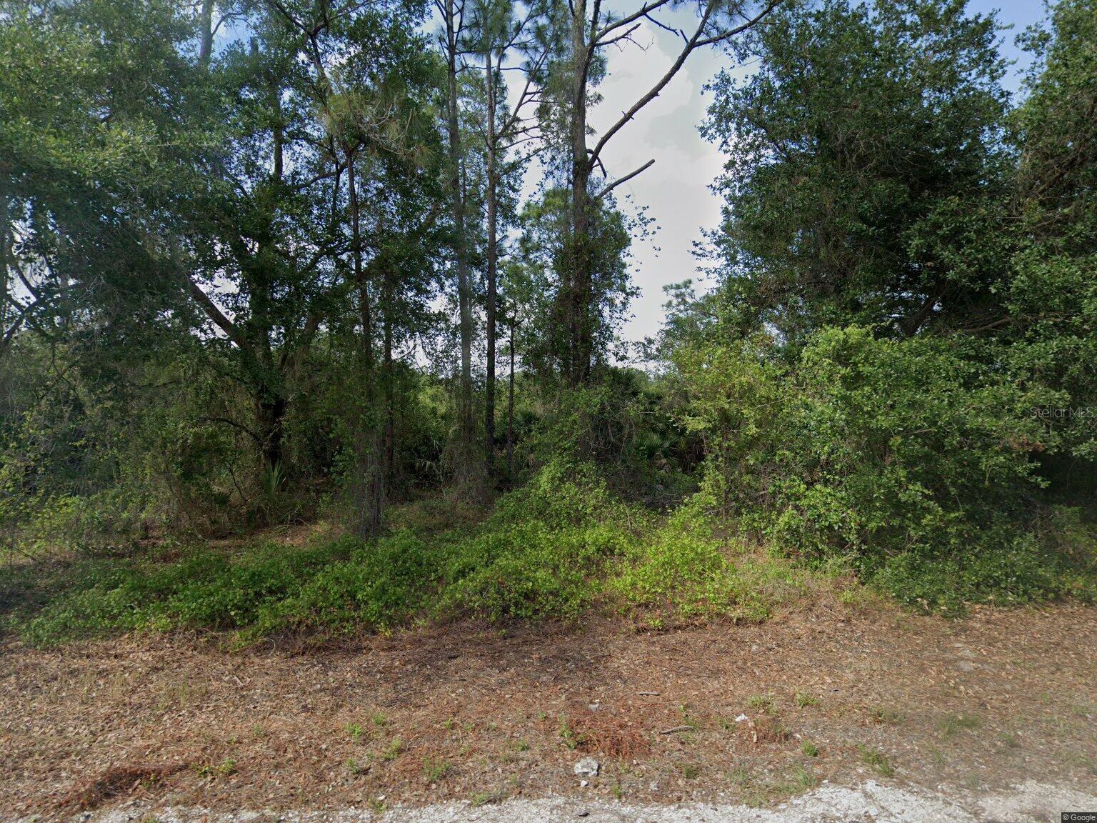 1015 Pilgrim St E, Lehigh Acres, FL 33974