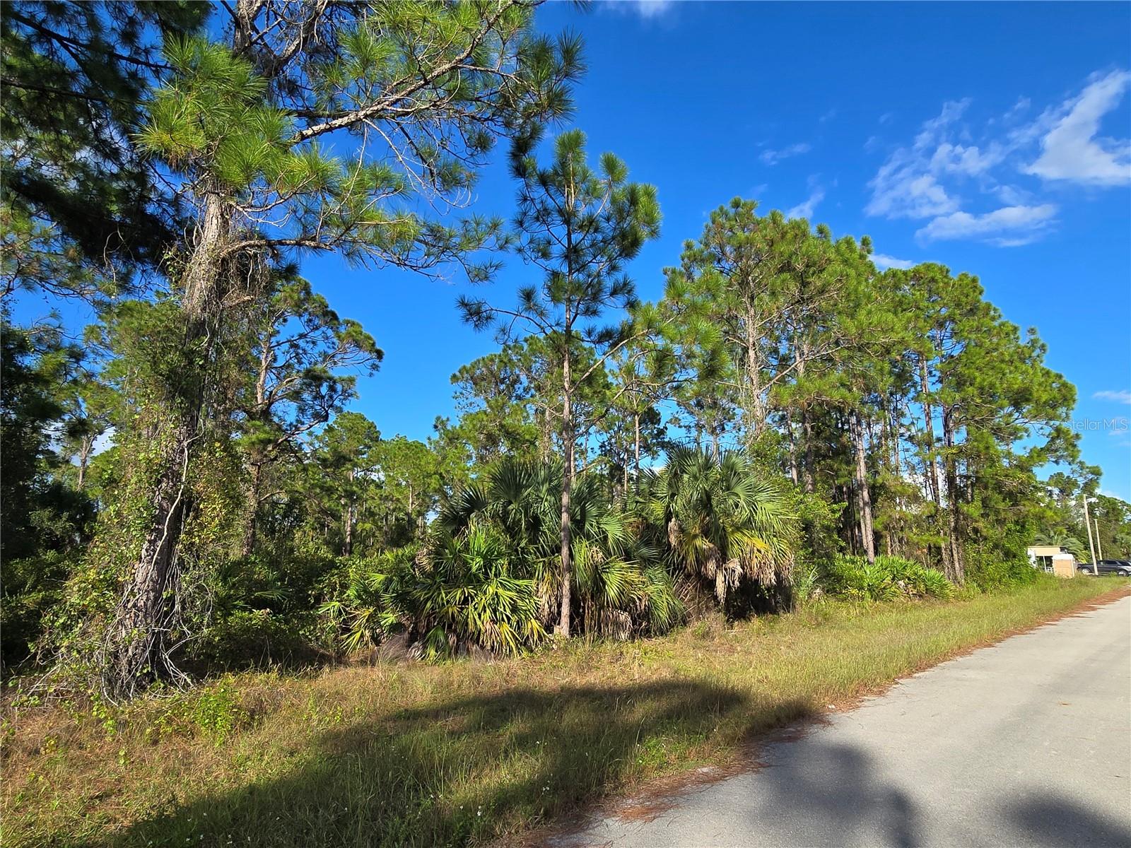 1137 Rambler St, Lehigh Acres, FL 33974