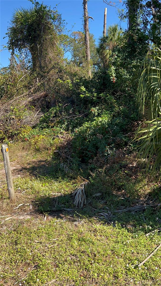 Easter Ter, North Port, FL 34286