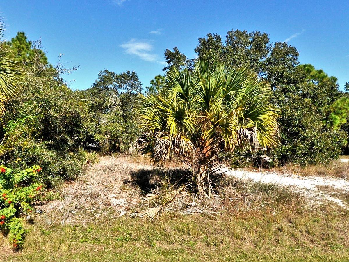 Greentree Ave, North Port, FL 34286