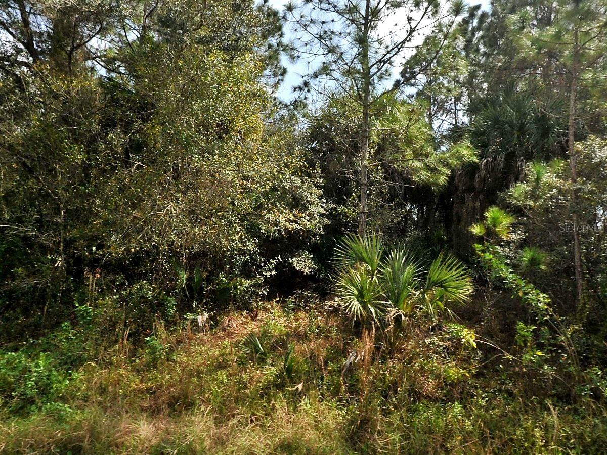 Hamilton Ave, North Port, FL 34286