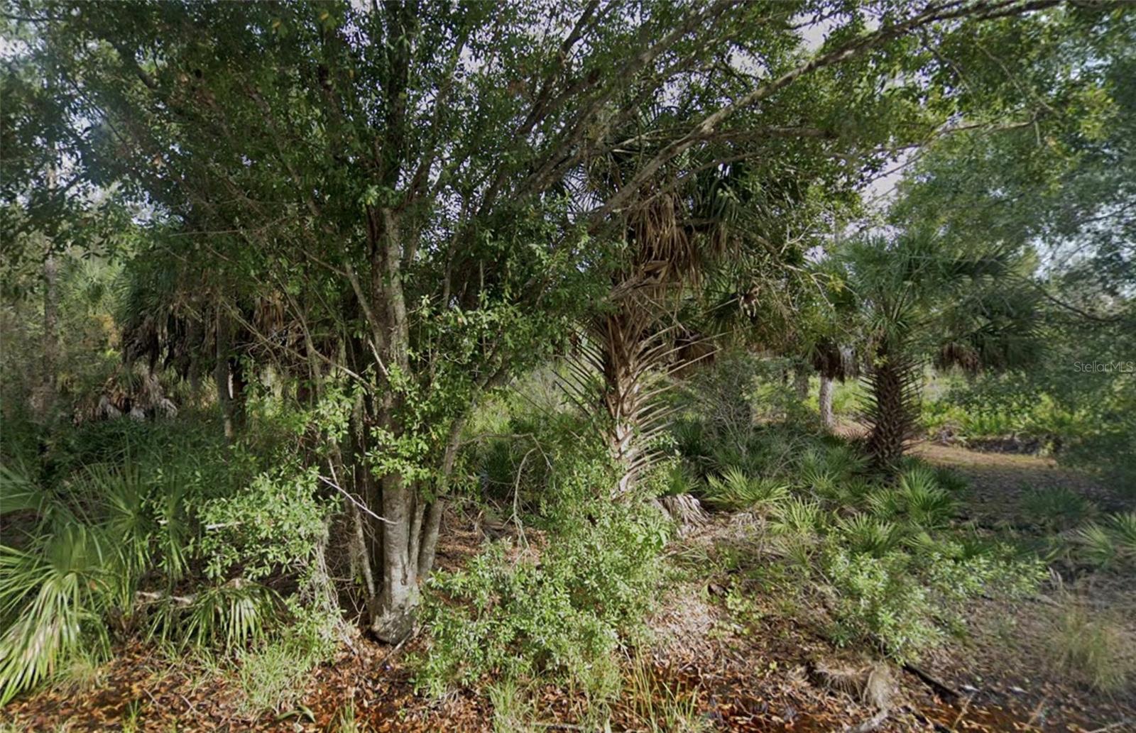 3382 Tiffiny St, Port Charlotte, FL 33980
