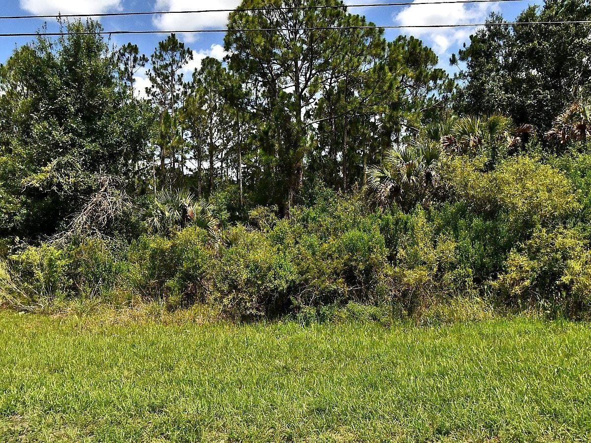 Tropicaire Blvd, North Port, FL 34291