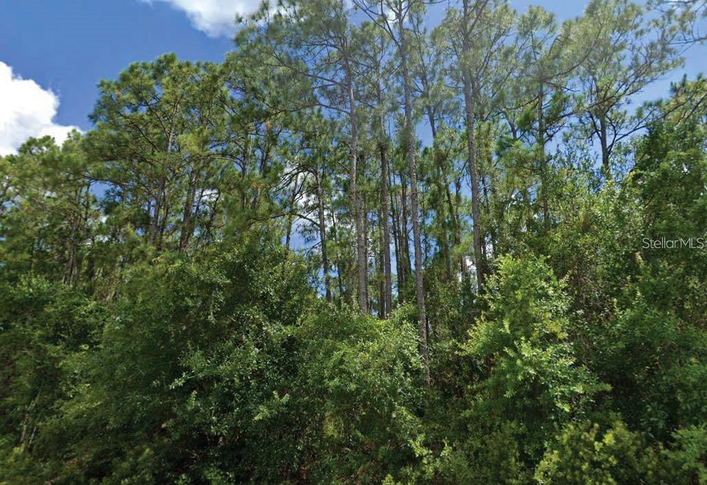 Langsom Ln, North Port, FL 34286
