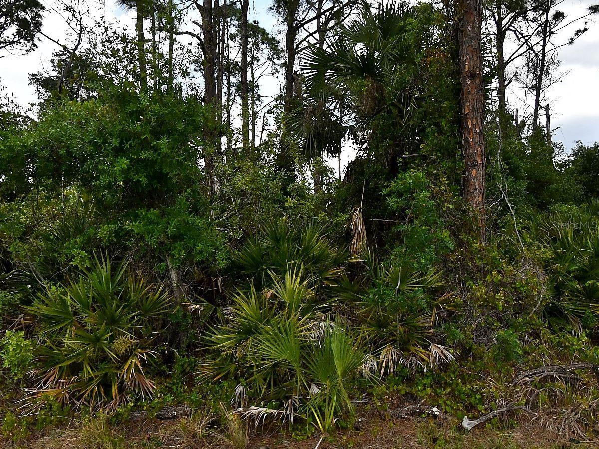 Geloso Ave, North Port, FL 34288