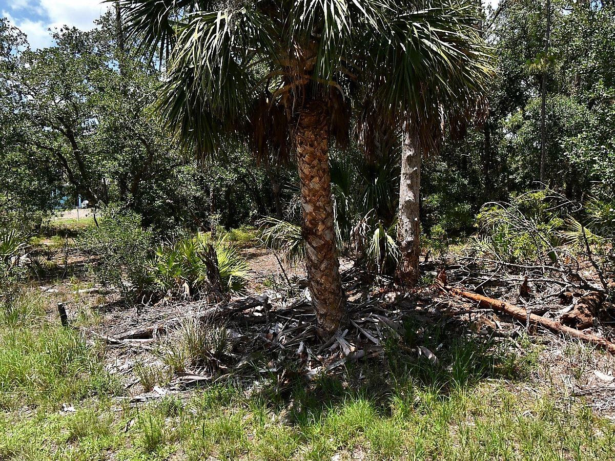Hawksbill Ave, North Port, FL 34291