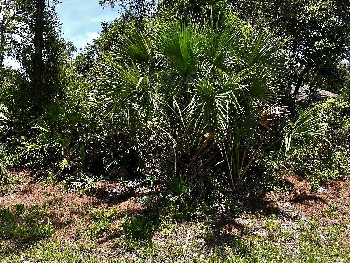 Van Eck Rd, North Port, FL 34291