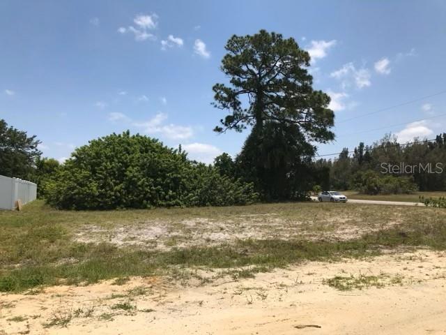 215 Sw 9th Pl, Cape Coral, FL 33991