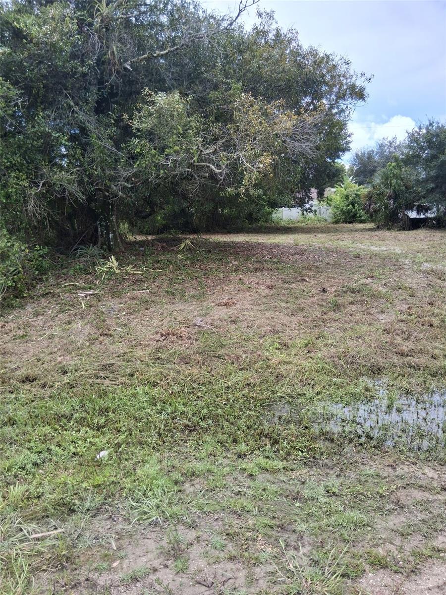 14070 Carlos Street, Fort Myers, FL 33905