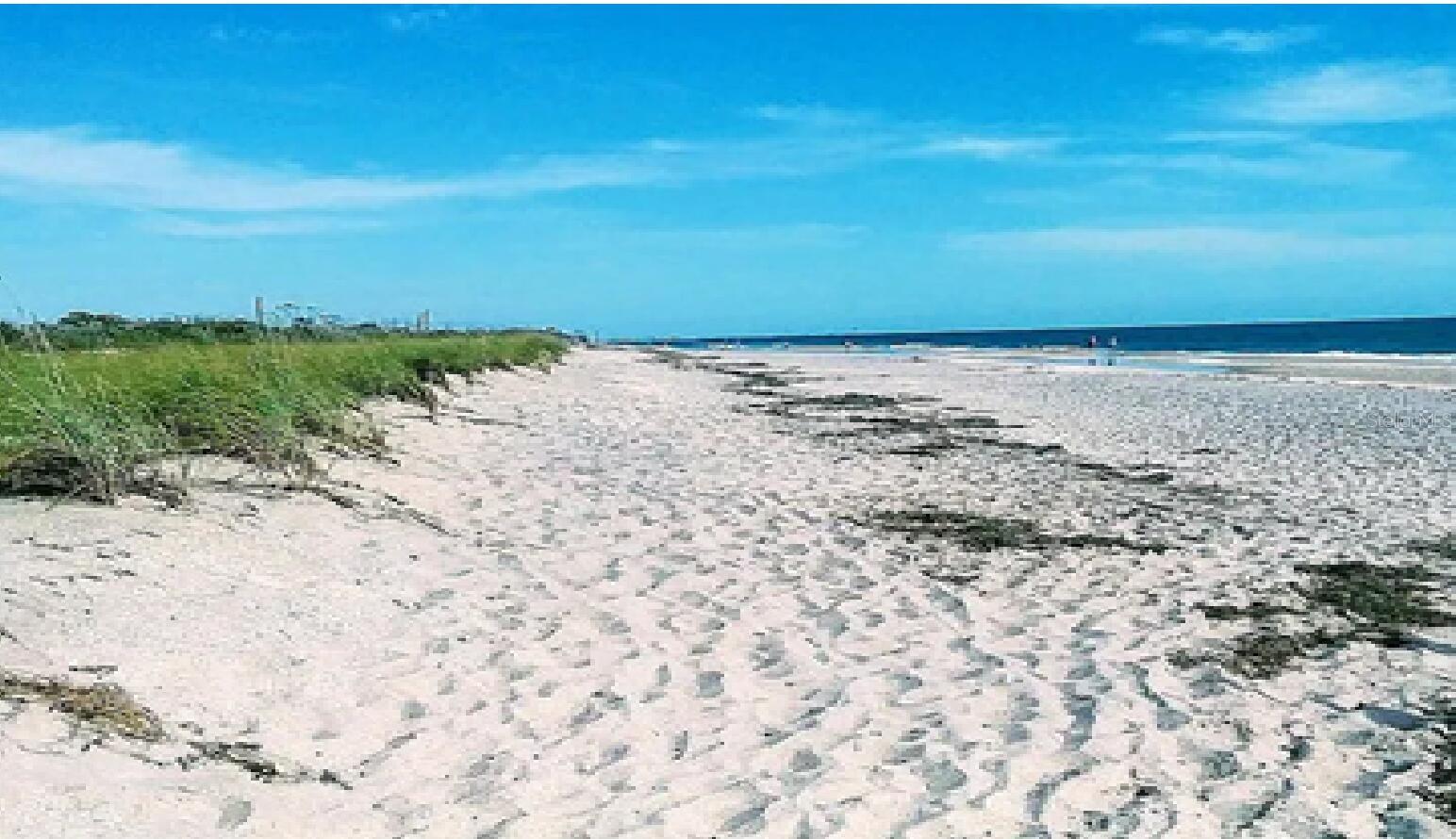Copernicus Rd, North Port, FL 34288