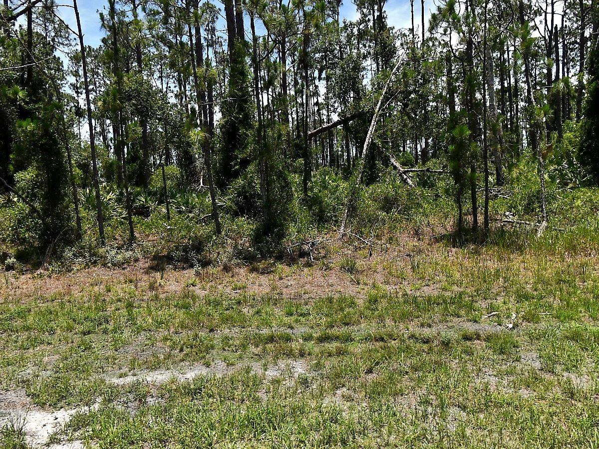 Tropicaire Blvd, North Port, FL 34291