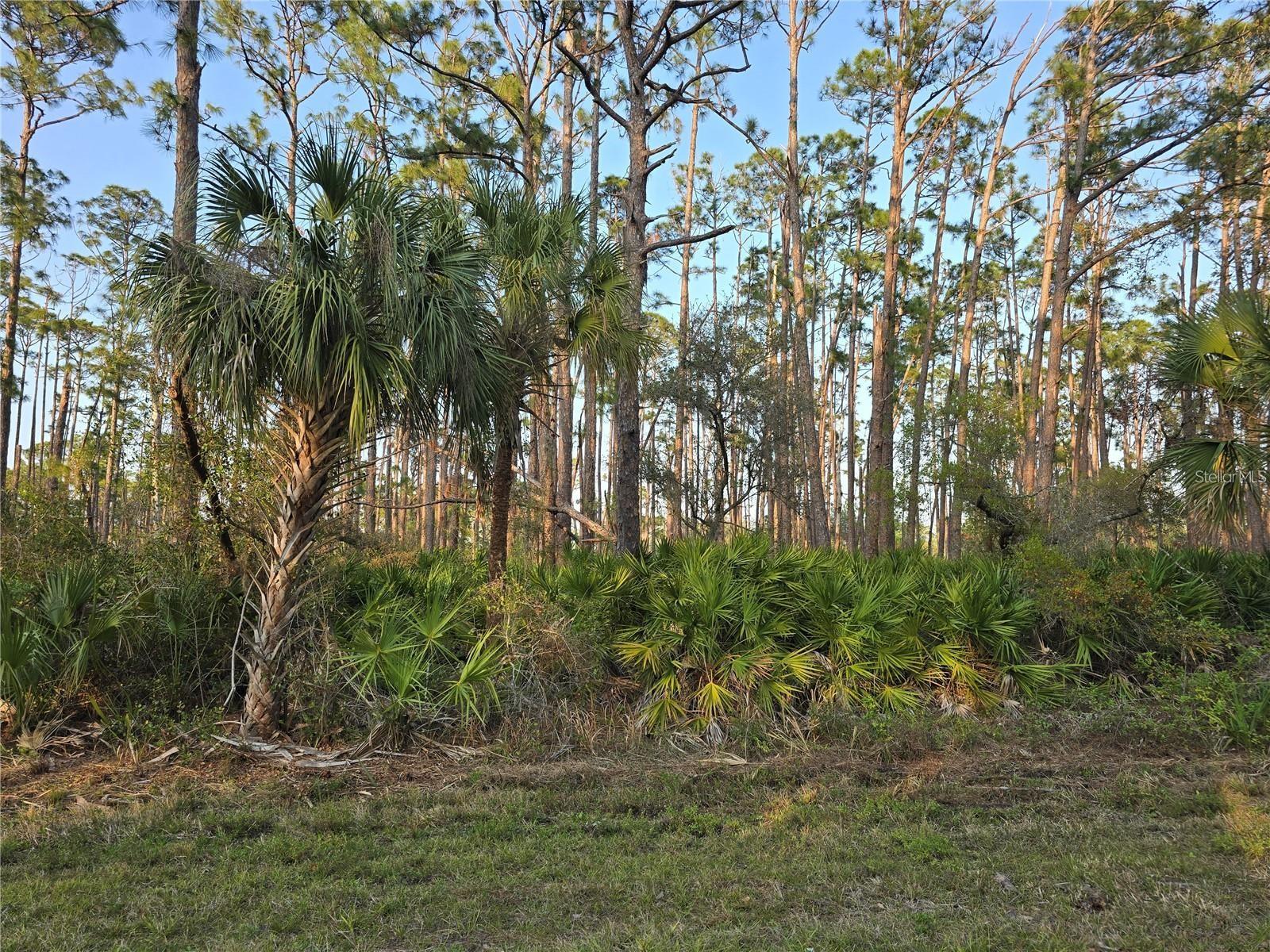 12522 Ranch Ave, Port Charlotte, FL 33953