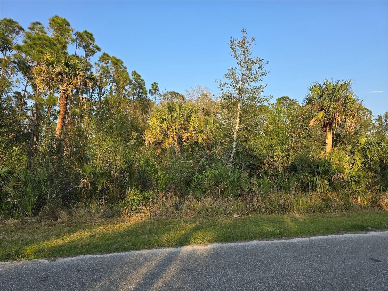 356 Ramblewood St, Port Charlotte, FL 33953