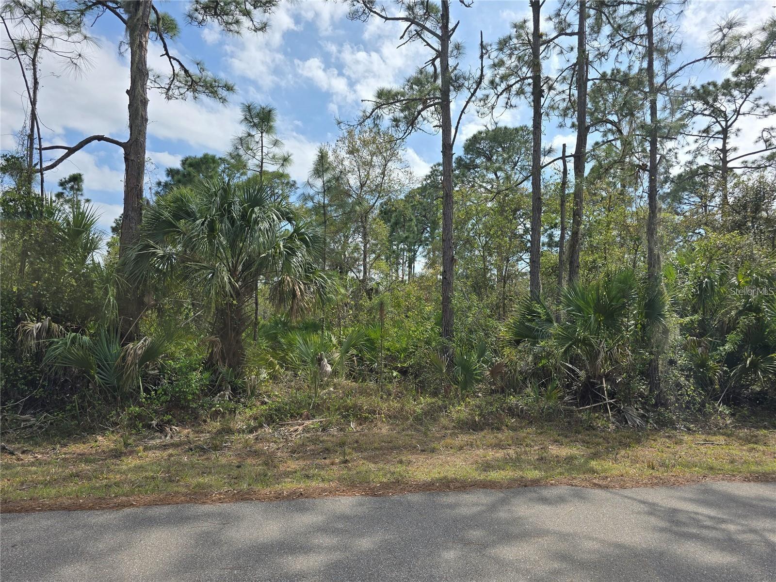 14055 Rider Ave, Port Charlotte, FL 33953
