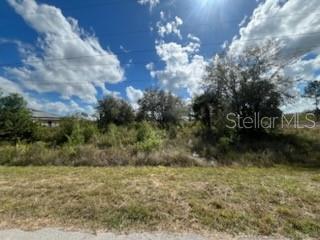 1928 Vesper Ct, Lehigh Acres, FL 33972