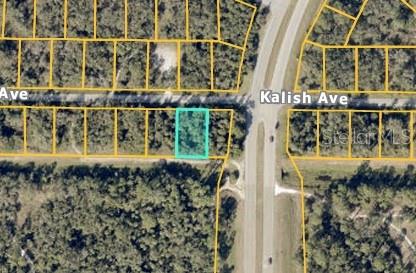 Tbd Kalish Ave, North Port, FL 34286