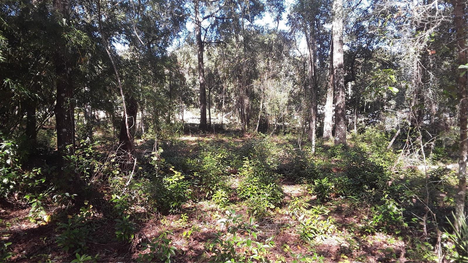 13231 Bissell Dr, Punta Gorda, FL 33955