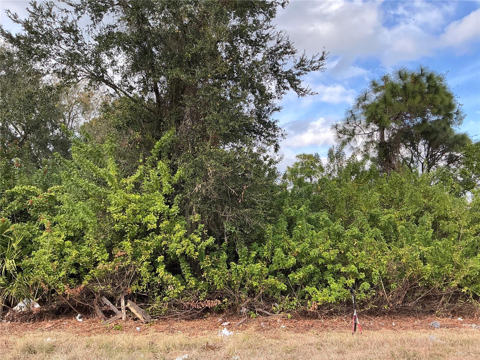 52 Gene Ave S, Lehigh Acres, FL 33976