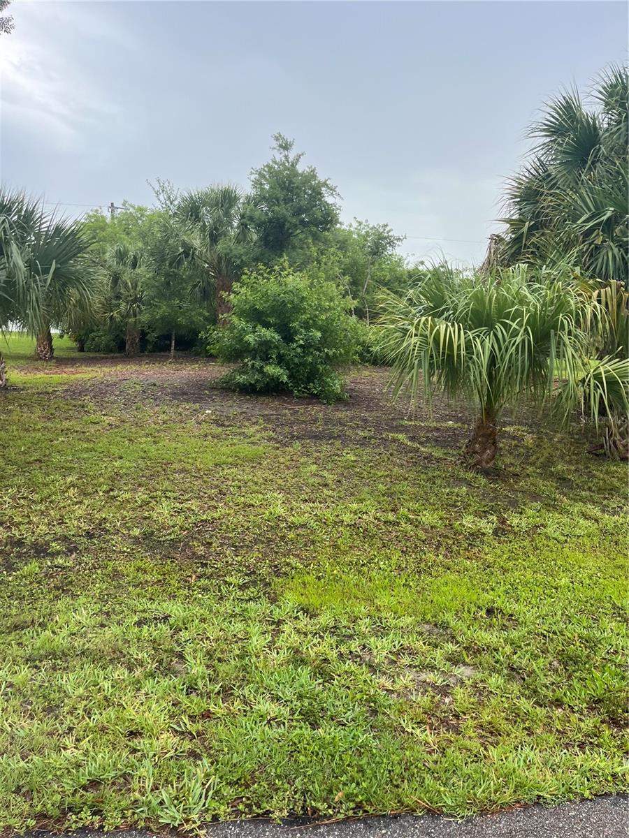 23084 August Ave, Port Charlotte, FL 33954