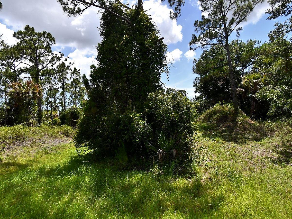 Abdella Ln, North Port, FL 34291