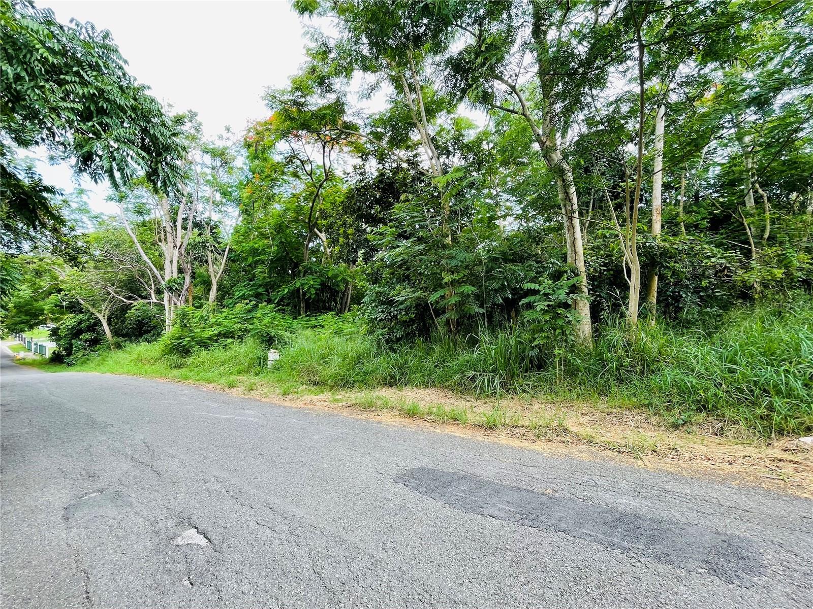 Carr 100 Km 5.2 Bo. Miradero, Cabo Rojo, PR 00623