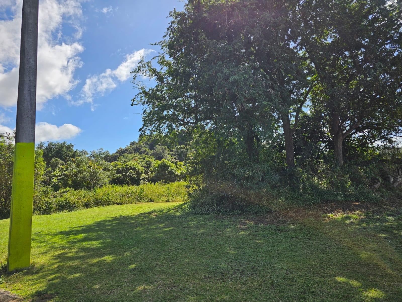 Bo. Celada Sector Los Chino, Gurabo, PR 00778