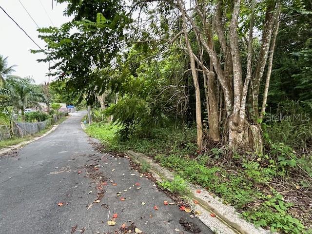 Campo Nuevo-Azucena 2, Vega Alta, PR 00692