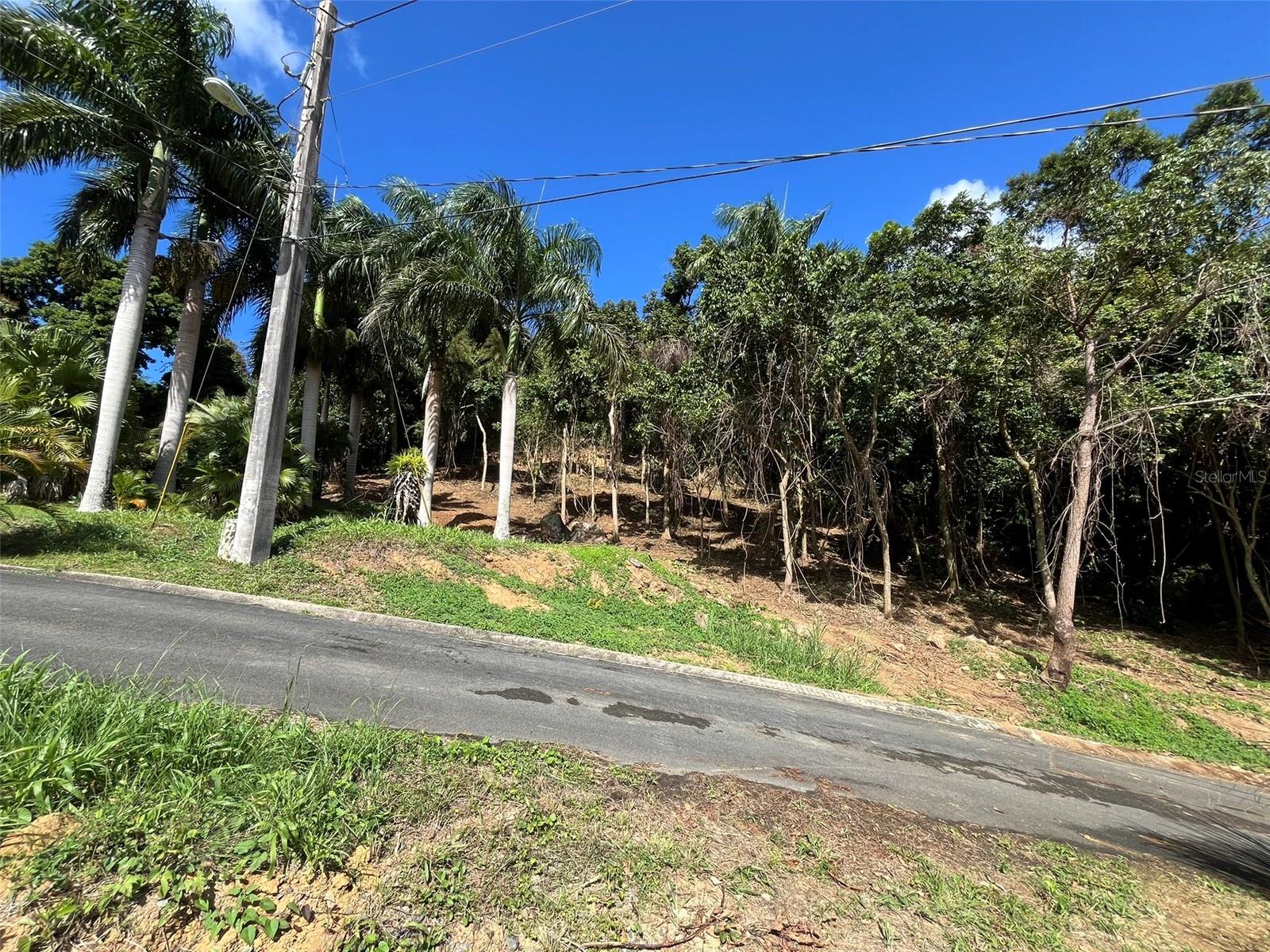 174, Bayamon, PR 00961