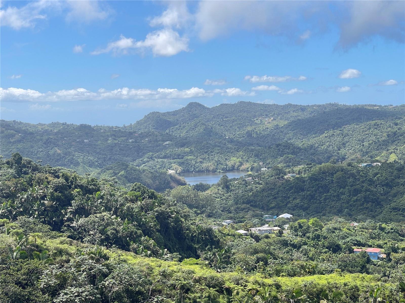 Pr-518 Km.10.0 Garzas Ward, Adjuntas, PR 00601