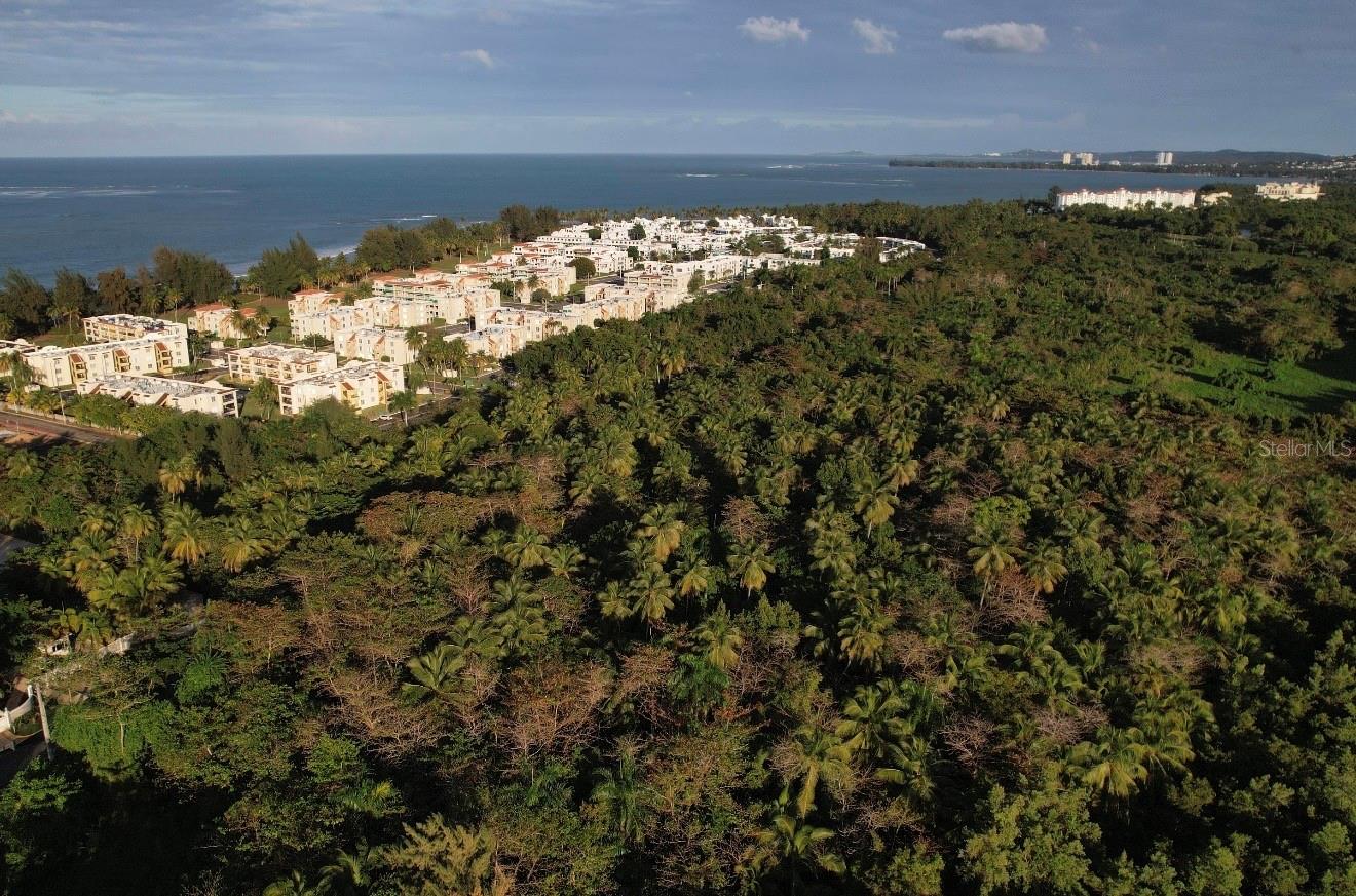 Pr-968 Km 2.2 Las Picuas, Rio Grande, PR 00745