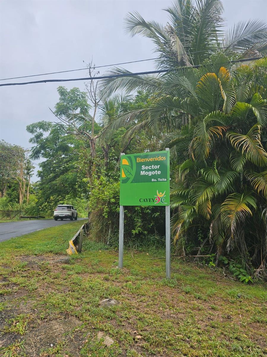 Bo. Toita Sector Mogote, Cayey, PR 00737
