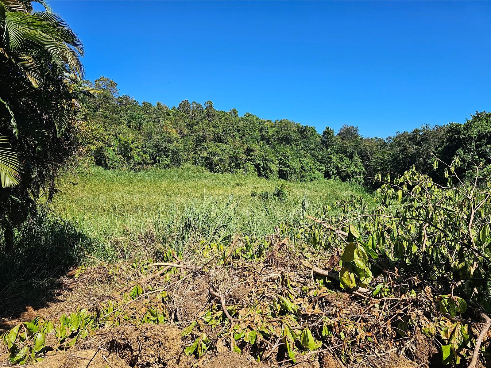 Pr-159, Morovis, PR 00687