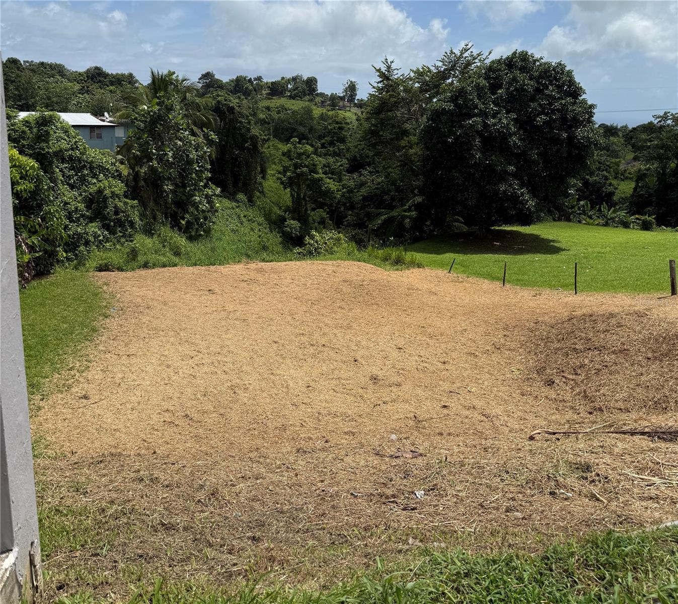 Bo. Tejas, Yabucoa, PR 00767