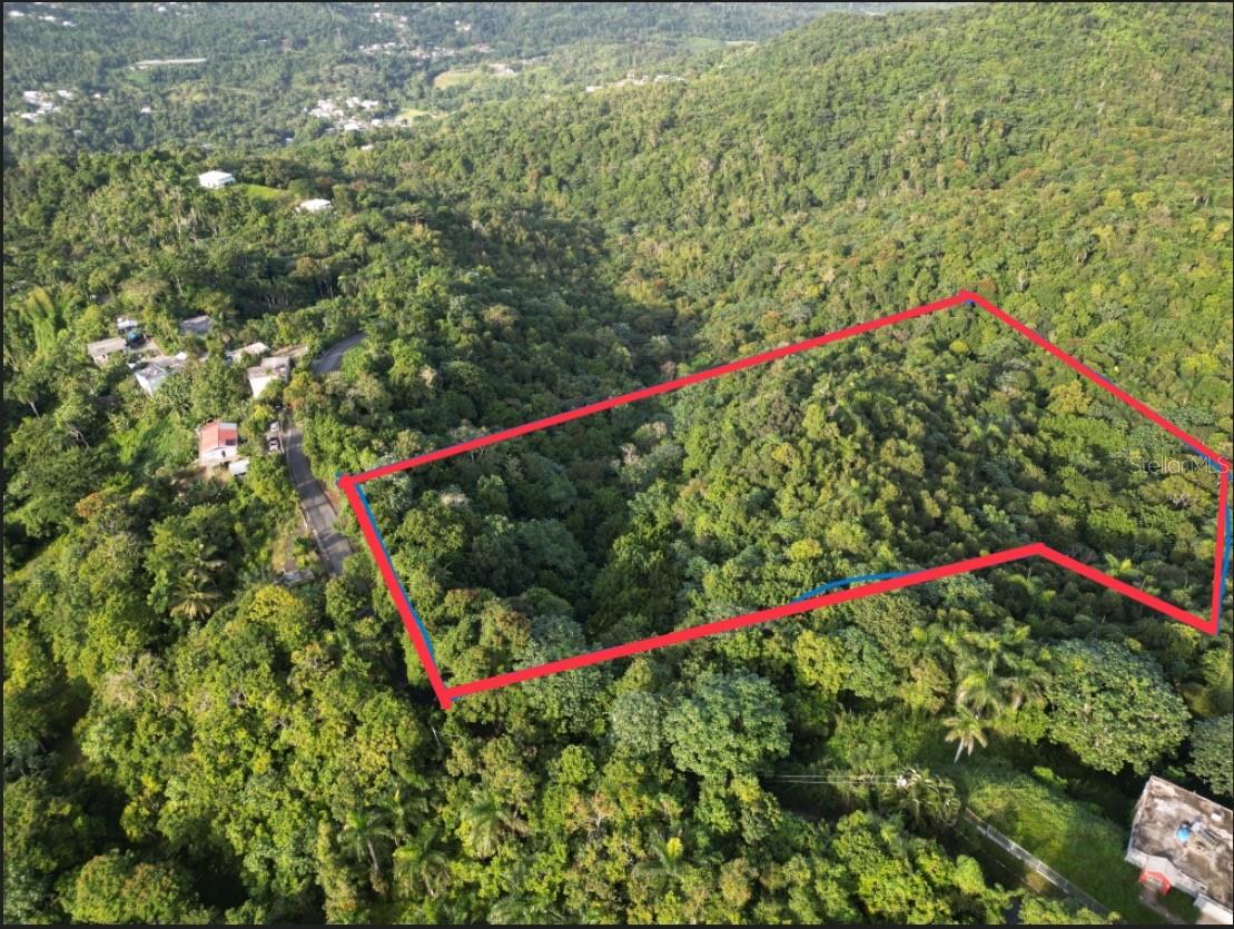Bo Caguitas , Carr 785 Km.Hm 4.2,, Aguas Buenas, PR 00703