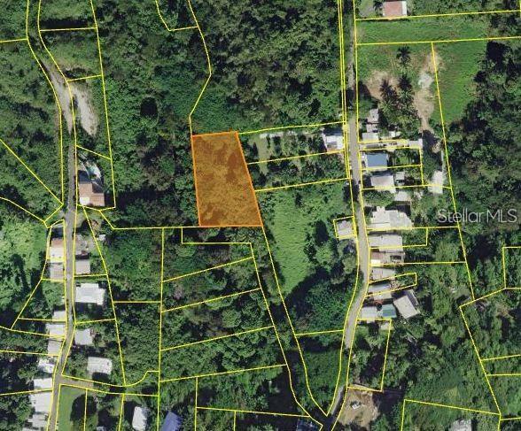 Carr. 413 Interior, Rincon, PR 00677