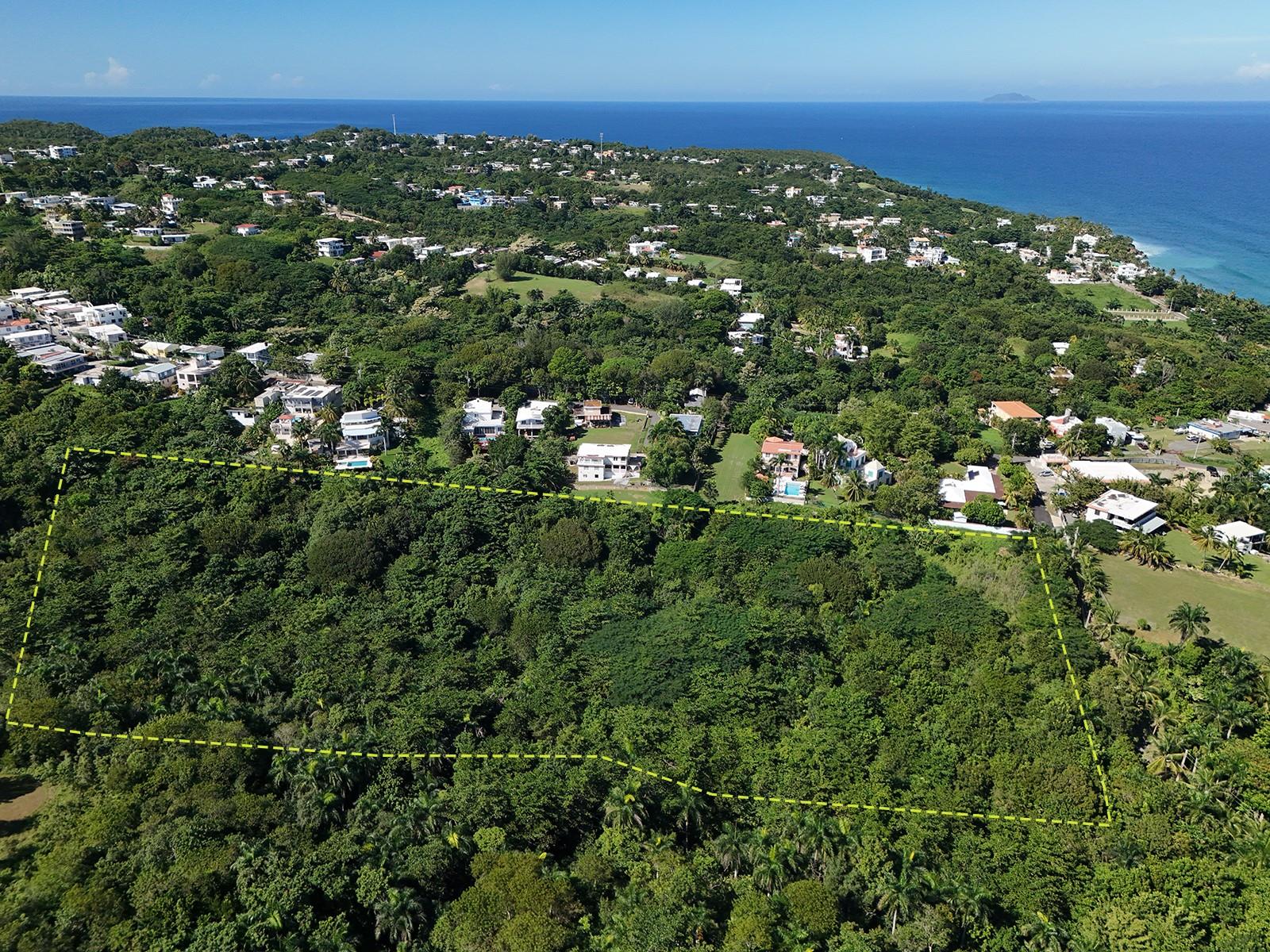 Calle Las Palmas, Rincon, PR 00677