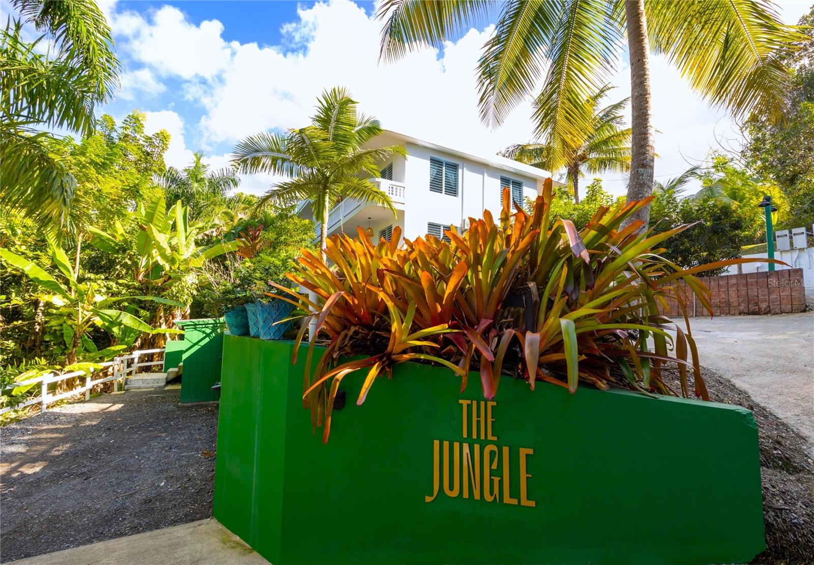 Carr. 413 Int.  Km 4 The Jungle, Rincon, PR 00677