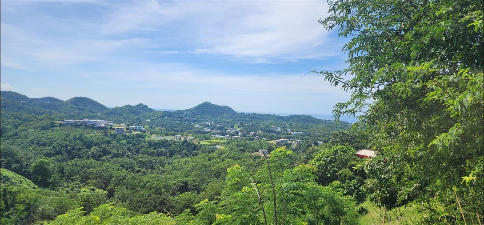 Carr. 412, Km. 4.8 Calle Pascual Nieves, Bo. Calvache, Rincon, PR 00677