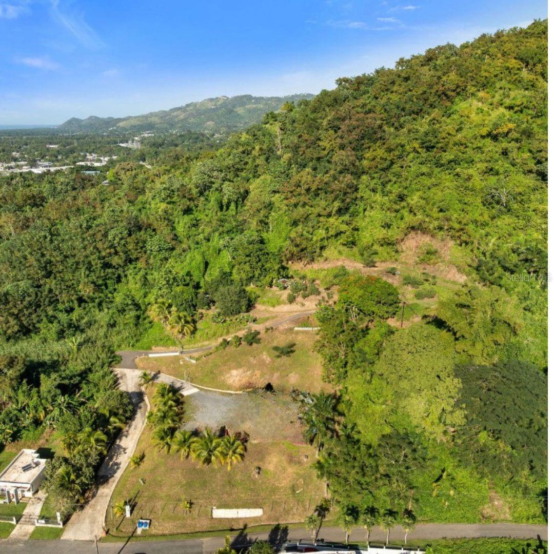 Solar 2. Barrio Daguey, Urb. Sagrado Corazon, Anasco, PR 00610