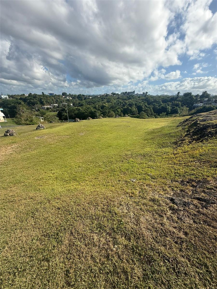 Colinas De Palmarito, Arecibo, PR 00612
