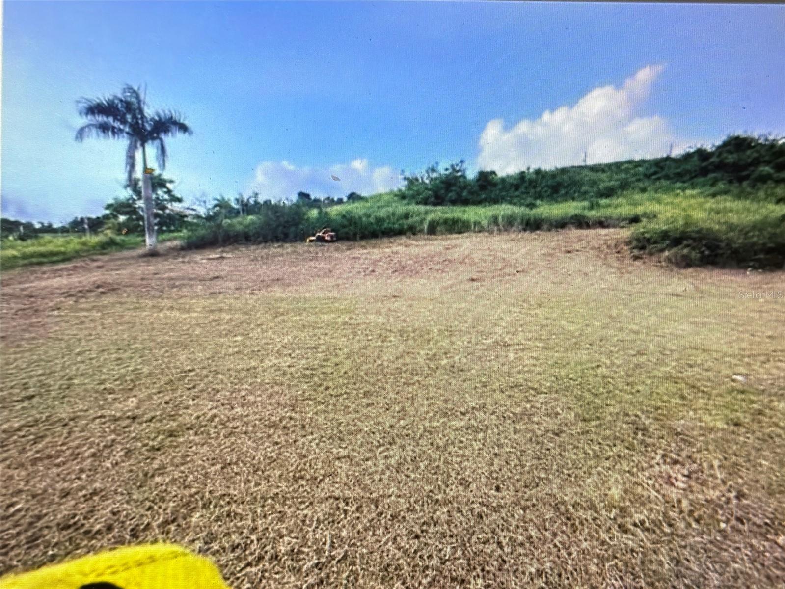 Mirador De Palmer, Rio Grande, PR 00745