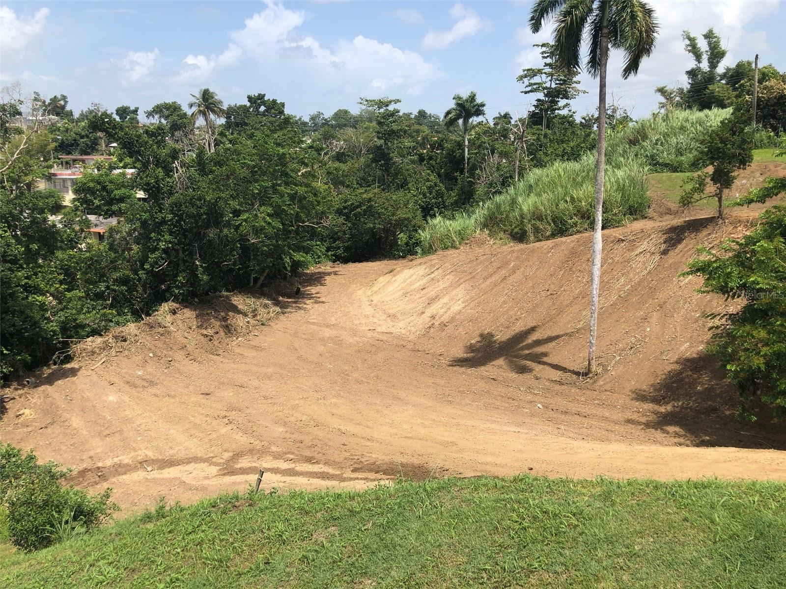 Bo Buena Vista , Carr 167 Km.Hm 13.9, Bayamon, PR 00956