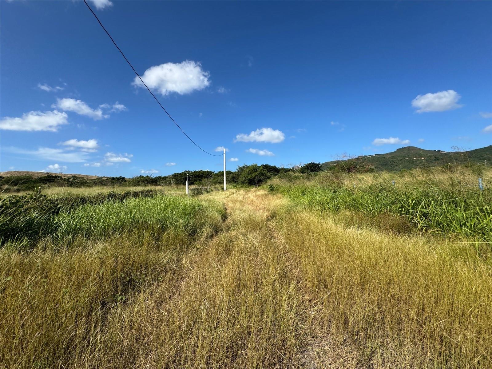 Carr. 542 Bo. Jauca, Sector Cayure Predio 119, Santa Isabel, PR 00757