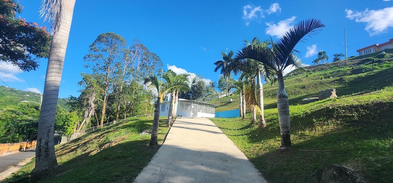 Km 12.2 Int Las Papayas Rd (Sr-185) #Lots A And B, Carolina, PR 00987
