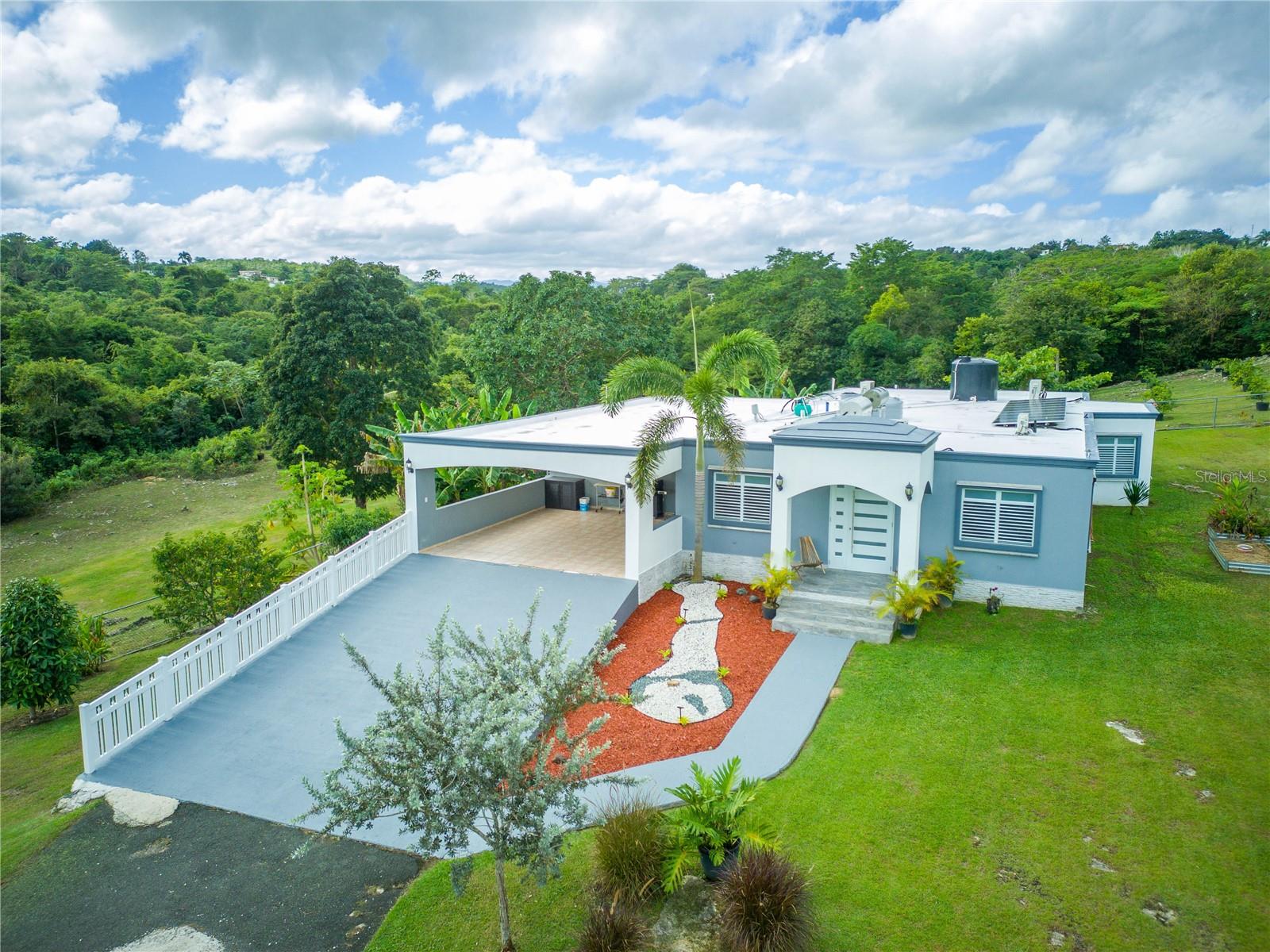 Carr 6645 Sec.Narvaez, Morovis, PR 00687