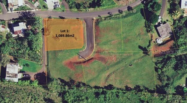 Pr-173 Km 6.1 Sumidero Ward #Lot #1, Aguas Buenas, PR 00703