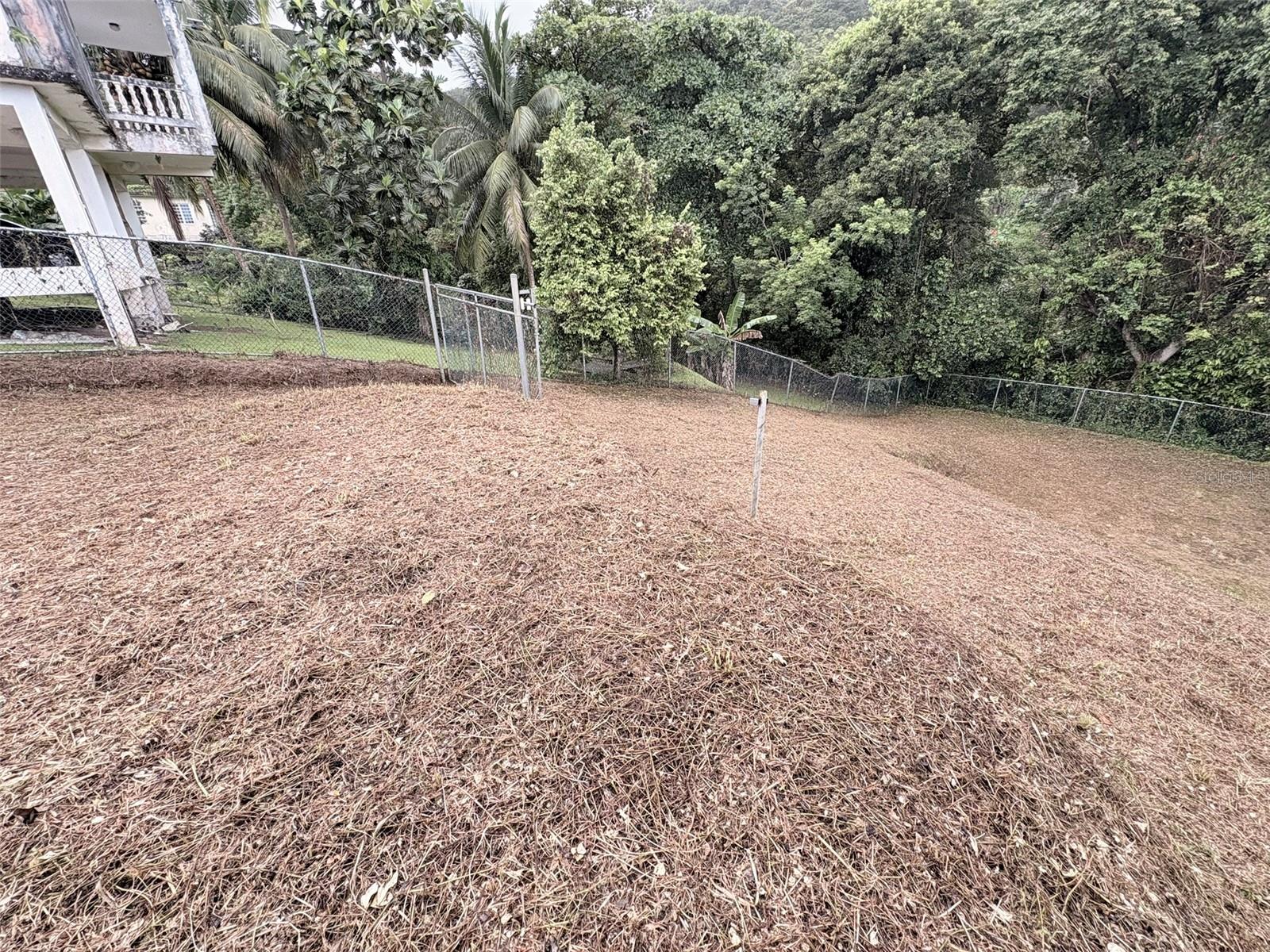 Bo Pitahaya, Luquillo, PR 00773